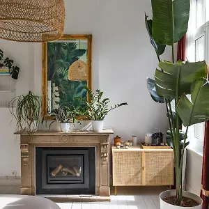 Musa Bed & Breakfast Antwerpen